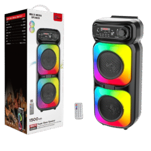 Haut-parleur OEM 4273 portable 16W KTV DJ karaoké Bluetooth avec mini USB Fonctionnalités Alimenté par batterie